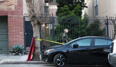 Mountain lion spotted in San Francisco's Pacific Heights