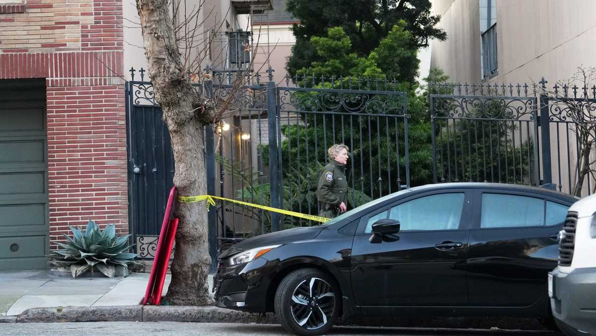 Mountain lion spotted in San Francisco's Pacific Heights