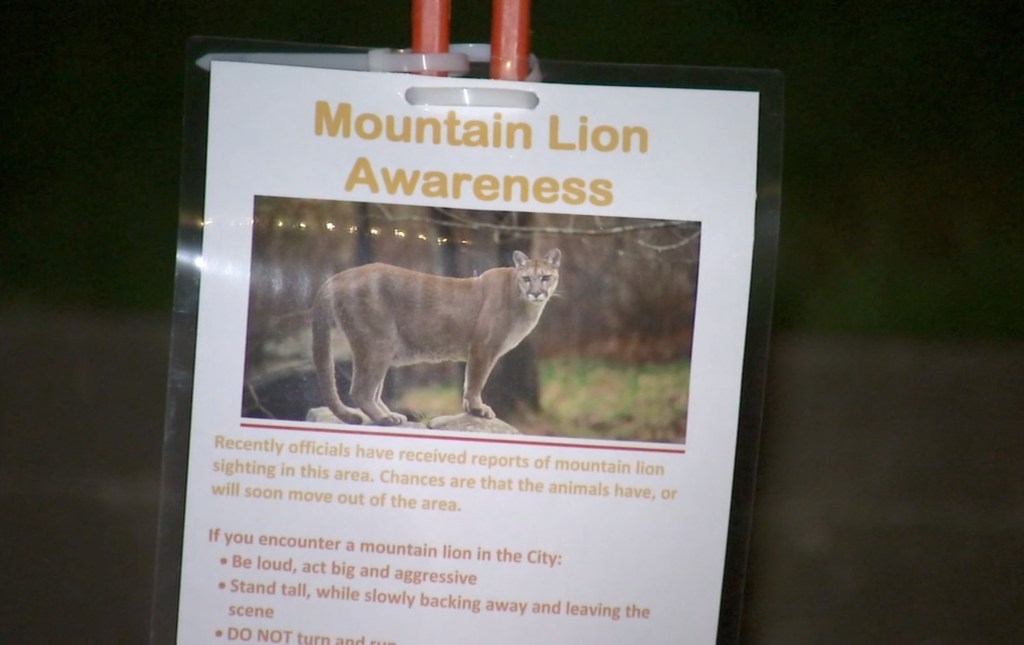 A "Mountain Lion Awareness" sign with a picture of a mountain lion and safety tips.