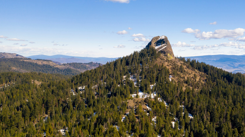 A volcanic rock formation towers over pine trees in an Oregon forest.