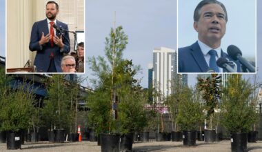 Exclusive | SF lawmaker asks AG to probe lack of trees amid city crises