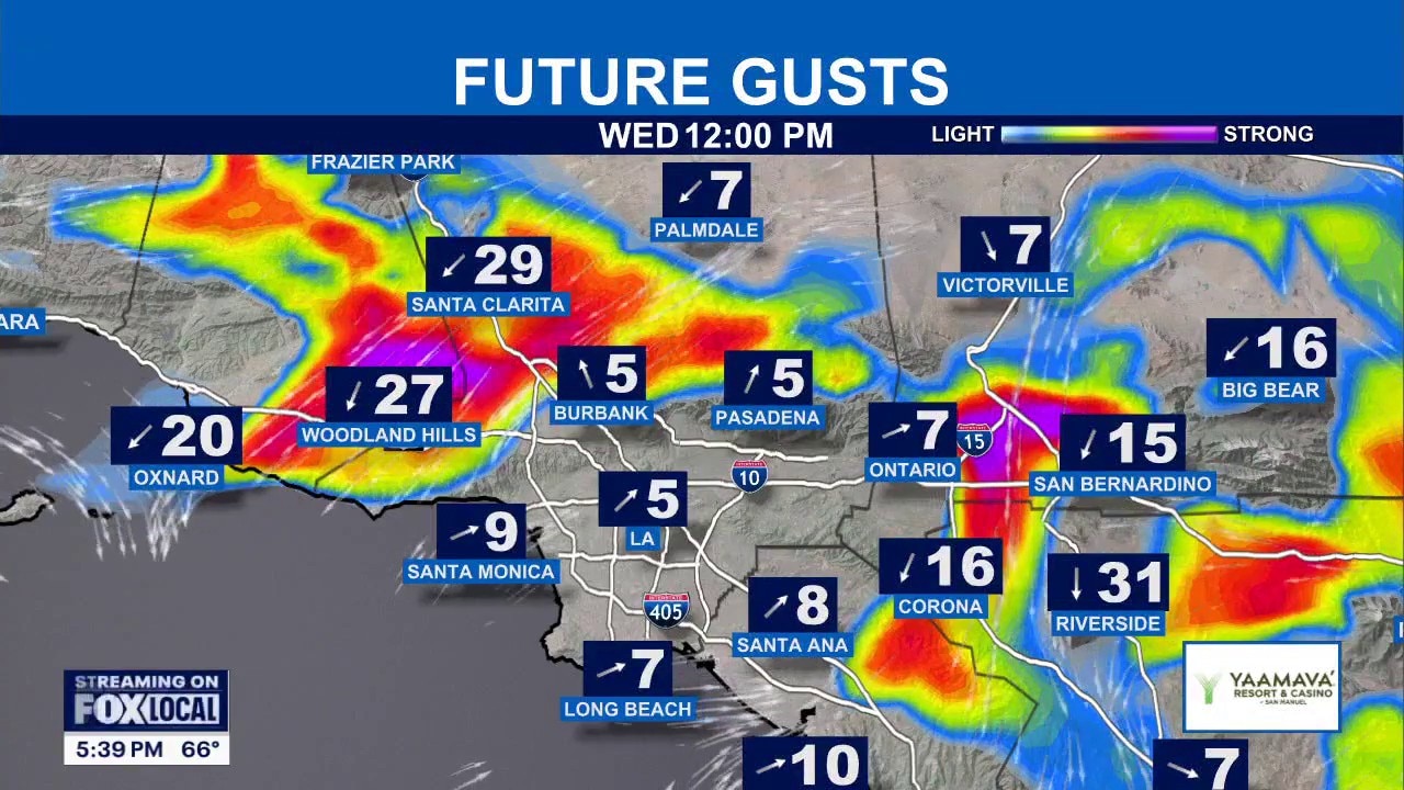 Dad released after 200 days in ICE custody