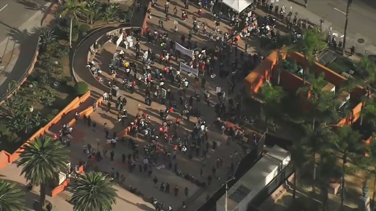 Protesters gather in Downtown LA to denounce Minneapolis ICE shooting – NBC Los Angeles