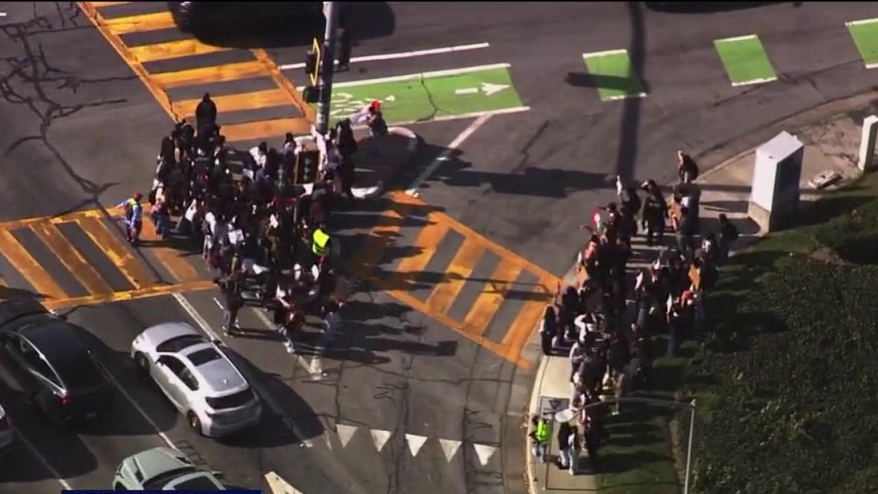 Bay Area Students protest ICE on national day of action 