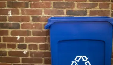 Recycling Bin against Brick Wall; California, Oregon Updates in Environmental and Recycling Regulations