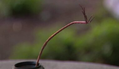 Business frustrated with copper thefts at Oakland freeway overpass