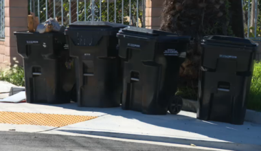 Many black trash bins line neighborhood streets after city’s phase-out – NBC 7 San Diego
