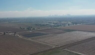 Sacramento Valley farmers say tariffs are cutting profits and wasting crops