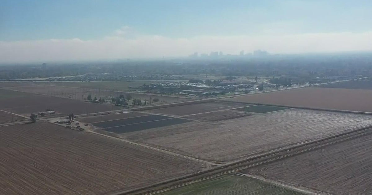 Sacramento Valley farmers say tariffs are cutting profits and wasting crops