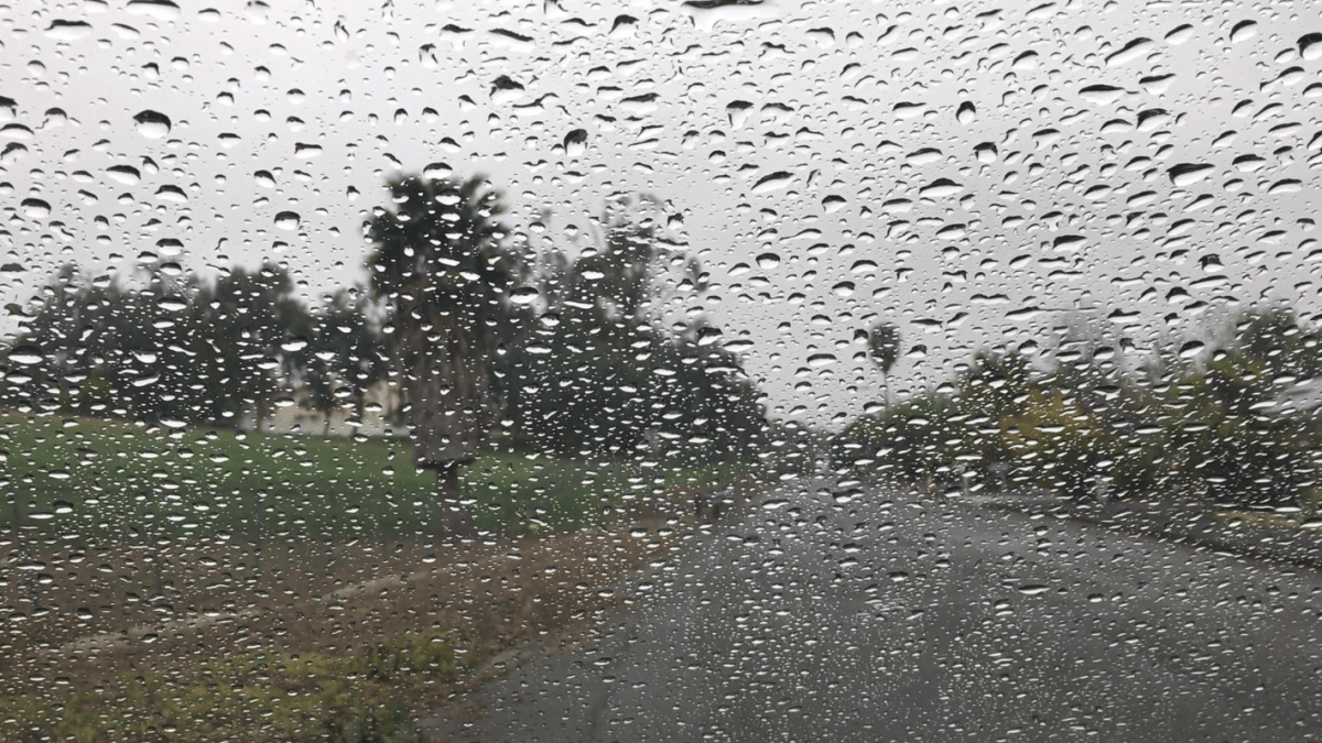 Recent San Diego rainfall drowns historical records – NBC 7 San Diego