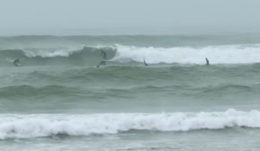 King Tides, providing the year’s highest high tides and lowest low tides, roll in Thursday and Friday. – NBC 7 San Diego