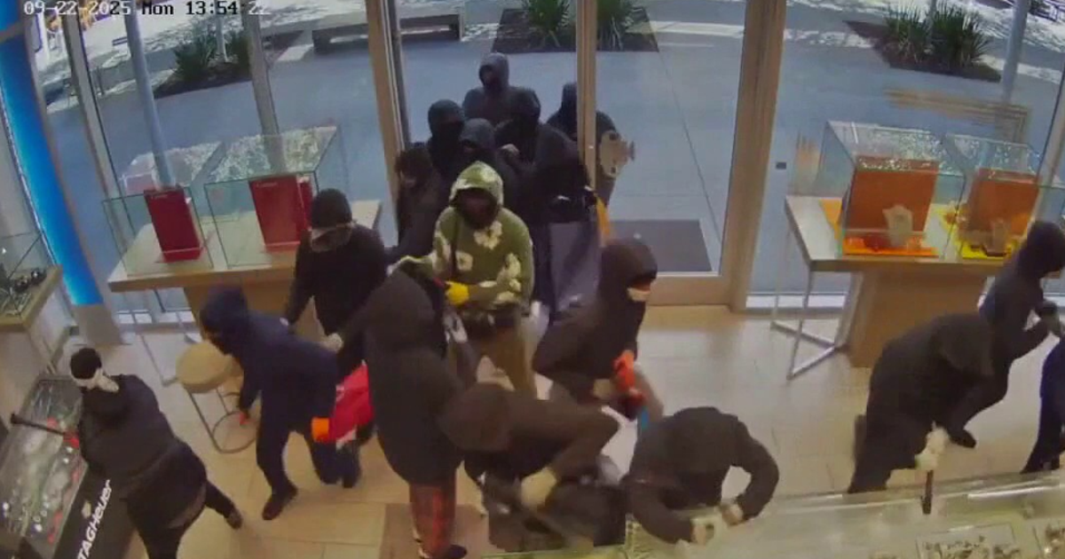 San Jose smash-and-grab robbery spurs calls for more funding from state