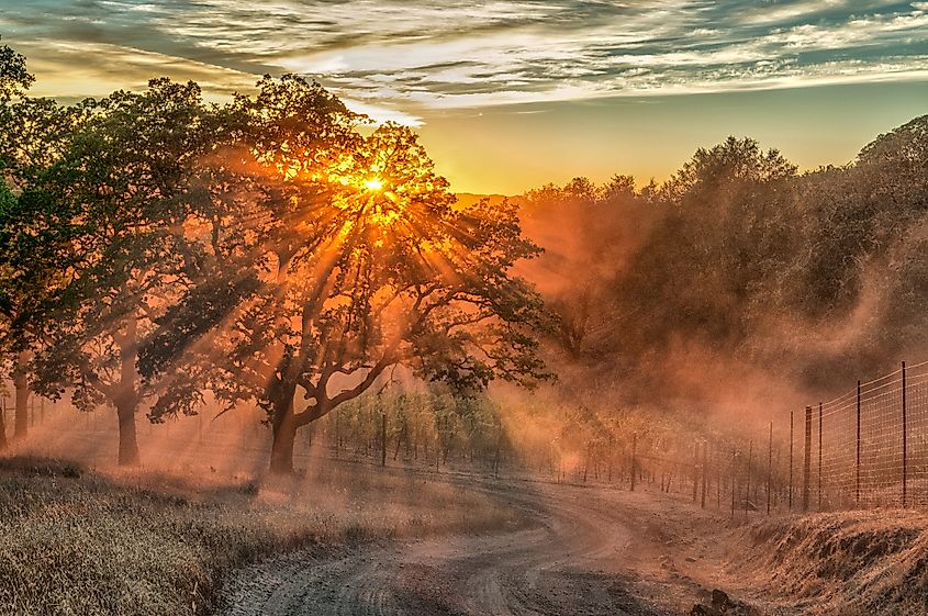 Sunset over a Sonoma County Vineyard near Cloverdale, California.