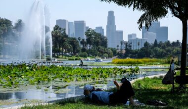 Council to Explore Non-Resident Fee for LA Park and Parks' Programs