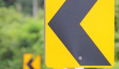 Passenger Killed in Single-Vehicle Crash on Long Beach Boulevard [Compton, CA]