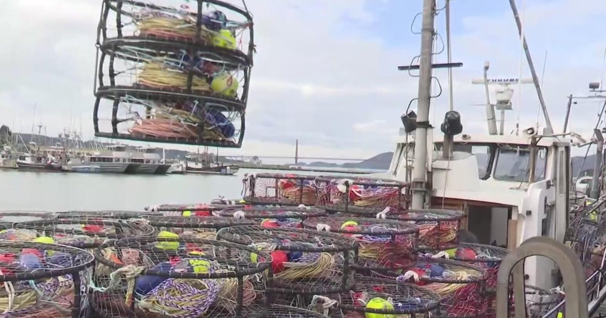 Bay Area commercial Dungeness crab season delayed again by weather, pricing dispute