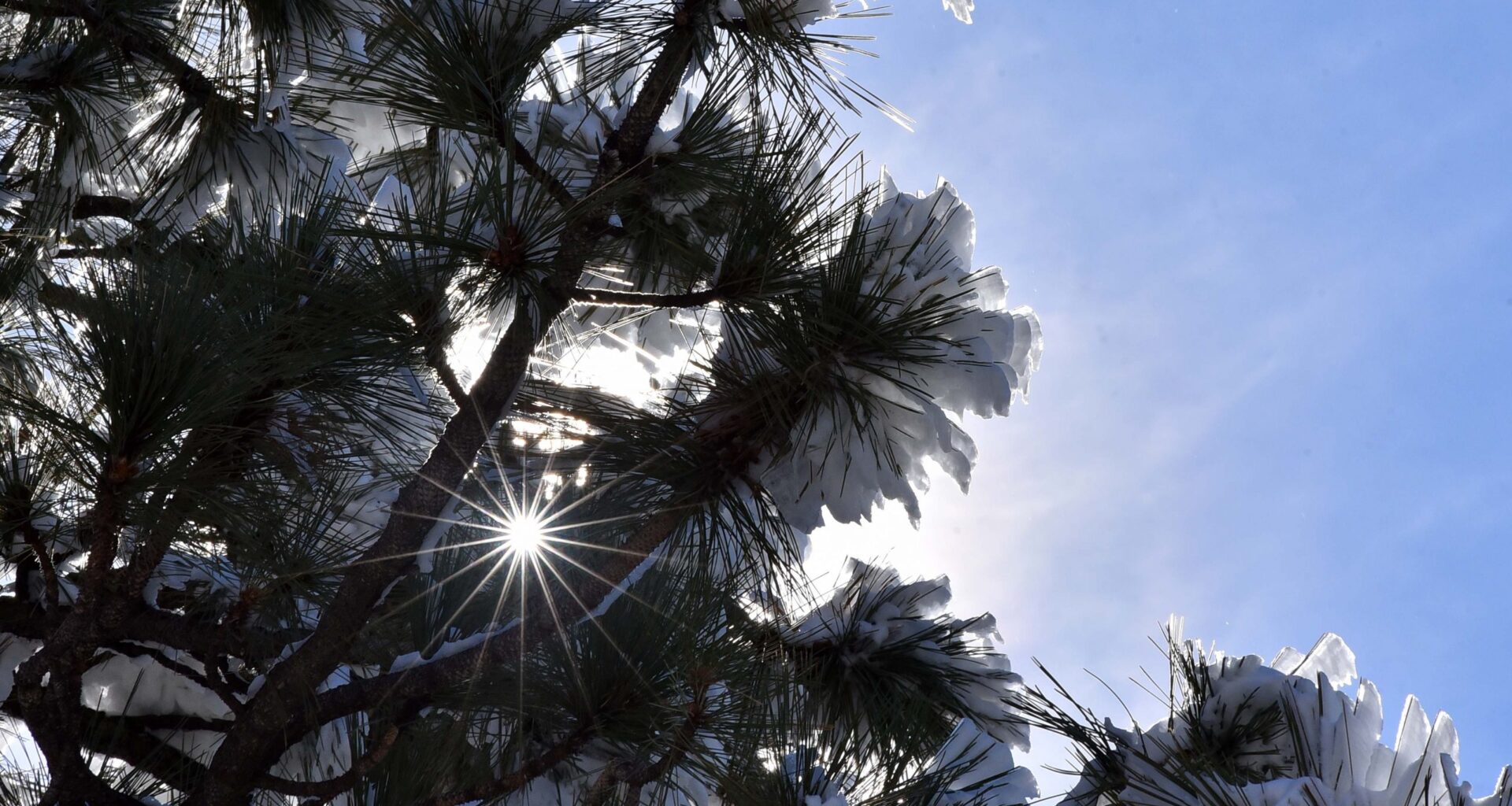 Sunny, warmer, dry weather on tap for region this week