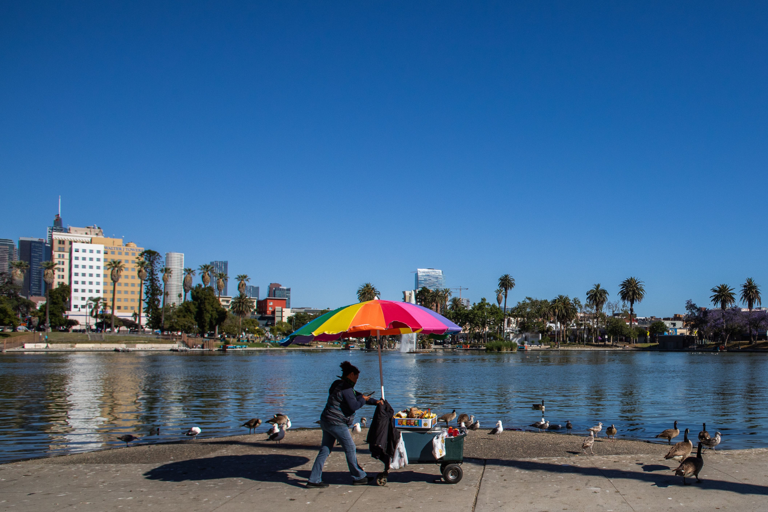 L.A. County to Give Away 280 Free Food Vending Carts