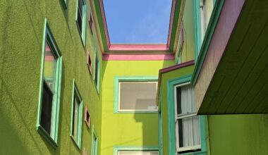 new street for Claude, and potato puffs afterwards