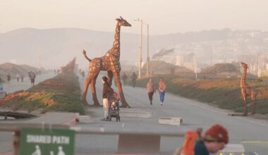 SF supervisor makes final push to put Great Highway reopening on ballot