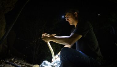 Unlocking Baja’s natural wonders – San Diego Union-Tribune