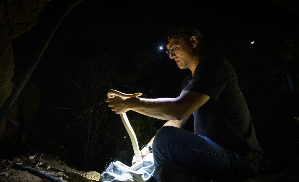 Unlocking Baja’s natural wonders – San Diego Union-Tribune