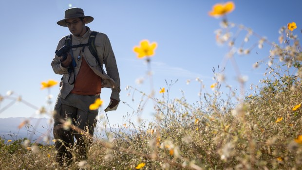 Abraham Sanchez, a master's student in taxonomy at the Centro de Investigaciones Biológicas del Noroeste, hikes through the "kill zone" in the Sierra de las Cacachilas documenting plant species on Monday, Oct. 27, 2025. (Ana Ramirez / The San Diego Union-Tribune)