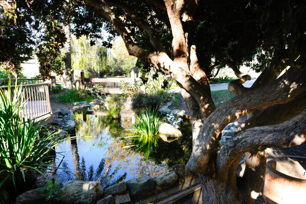 5 places to eat, drink and explore in and around San Diego State University – San Diego Union-Tribune