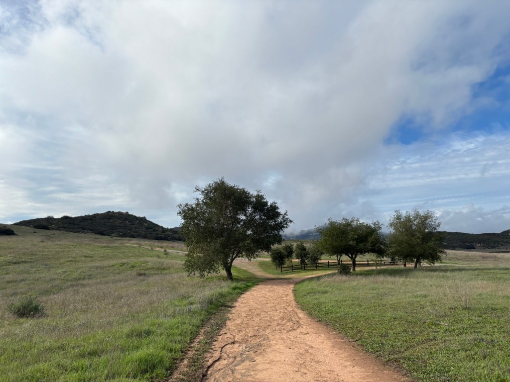 A guide to hiking Barnett Ranch preserve