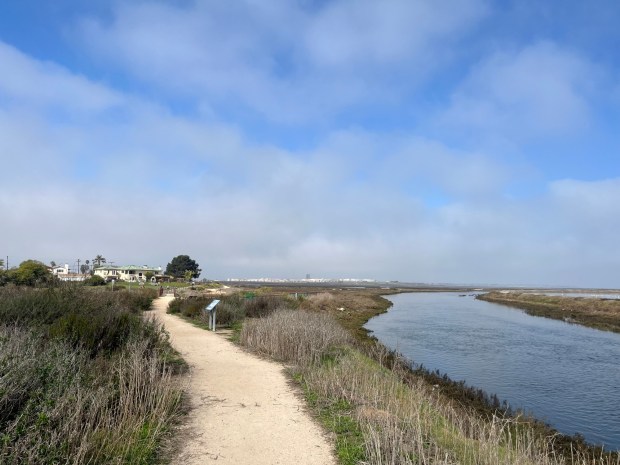 The trail that runs along the Bayshore Bikeway and the San Diego Bay National Wildlife Refuge. (Maura Fox / The San Diego Union-Tribune)