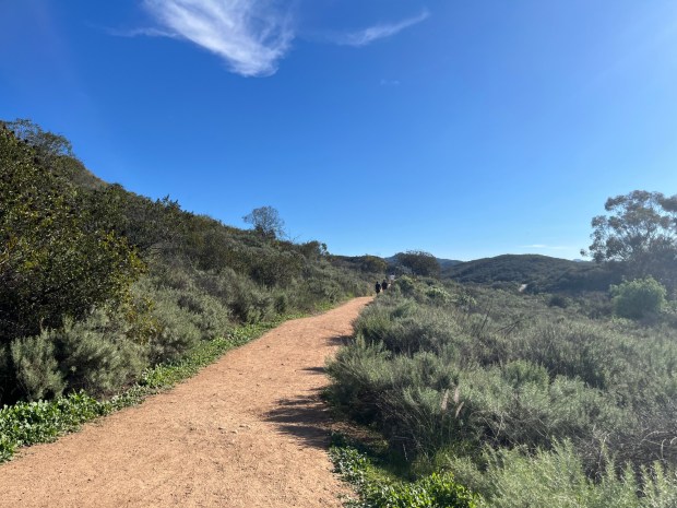 The Creek Crossing Trail heads east from the main Daley Ranch trailhead. (Maura Fox / The San Diego Union-Tribune)