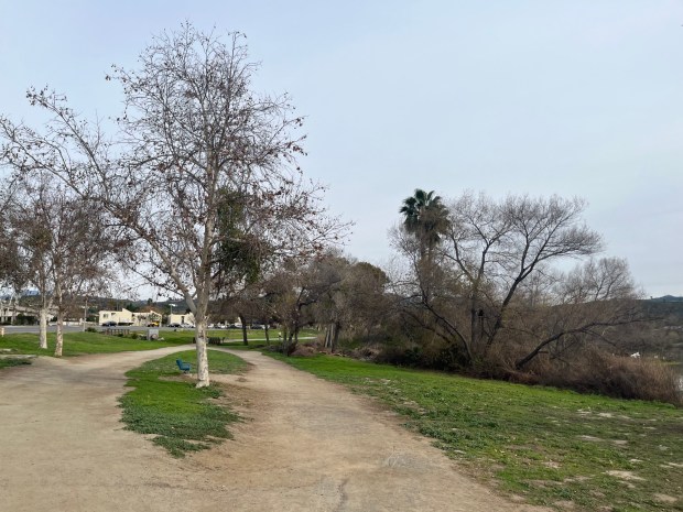 After a quick walk on a sidewalk, the trail begins, heading east along Lindo Lake. (Maura Fox / The San Diego Union-Tribune)
