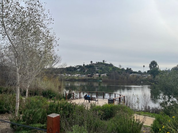 The view of one of the lake overlooks on the northeastern side of Lindo Lake. (Maura Fox / The San Diego Union-Tribune)