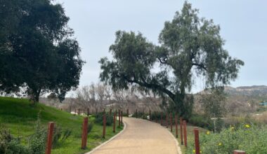 Lindo Lake is a bird-filled wonderland – San Diego Union-Tribune