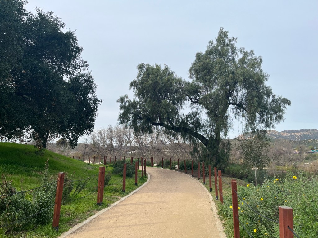 Lindo Lake is a bird-filled wonderland – San Diego Union-Tribune