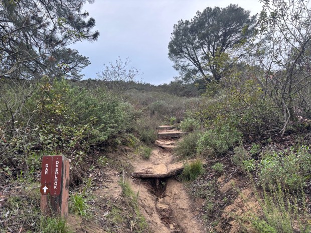 From the Mar Scenic Trail, hikers will reach an intersection with the DAR Trail that heads west. (Maura Fox / The San Diego Union-Tribune)
