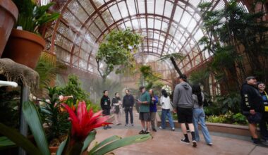 Anger keeps building over Balboa Park parking fees – San Diego Union-Tribune