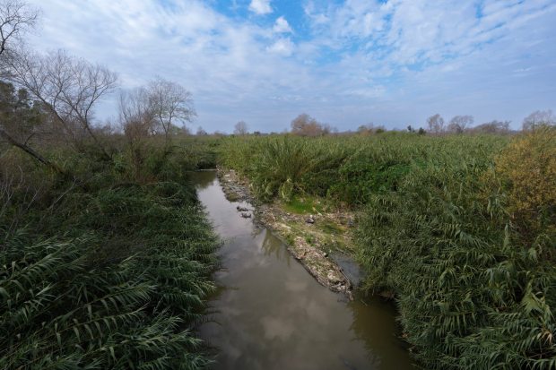 San Diego, CA - January 22: One of the streams in the Tijuana River Valley that flows beneath the bridge on Dairy Mart Road, located along the U.S.-Mexico border in San Diego, CA. (Nelvin C. Cepeda / The San Diego Union-Tribune)