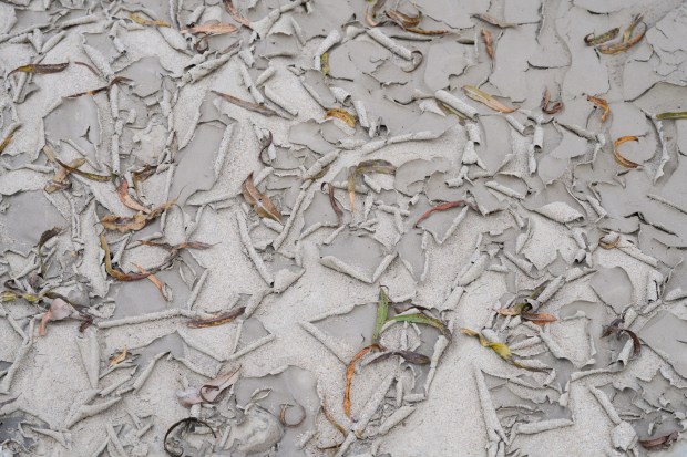 At the moment the riverbed is dry. However, during the rainy season, the stream flows steadily with trash debris that feeds into the Tijuana River Valley.  This stream is located off Monument Road along the U.S.-Mexico border in San Diego, CA. (Nelvin C. Cepeda / The San Diego Union-Tribune)