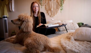 San Diego’s long-struggling Youth Commission is about to reconvene. Does it have what it needs to succeed? – San Diego Union-Tribune