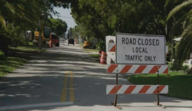 Oakland Park residents halt tree cutting with court injunction