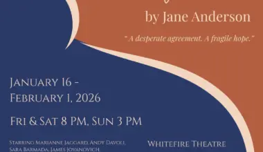 The Baby Dance by Jane Anderson