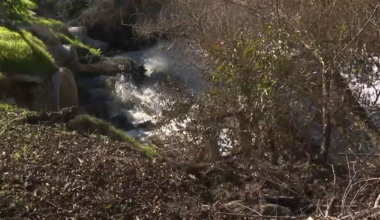 10K air purifiers delivered to South Bay residents – NBC 7 San Diego