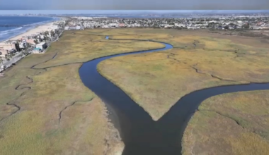 San Diego County begins in-house testing of wastewater for illness trends – NBC 7 San Diego