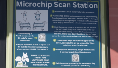 Helping lost pets find their way home