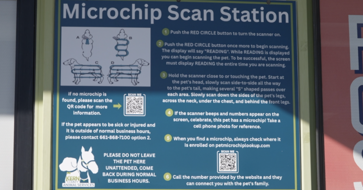 Helping lost pets find their way home