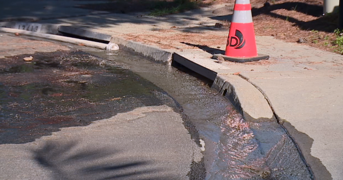 Del Mar residents get answers on months-long water leak in cul-de-sac
