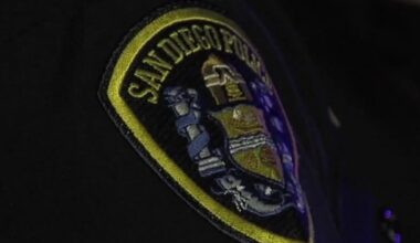 San Diego carjacking suspect apprehended in Arizona