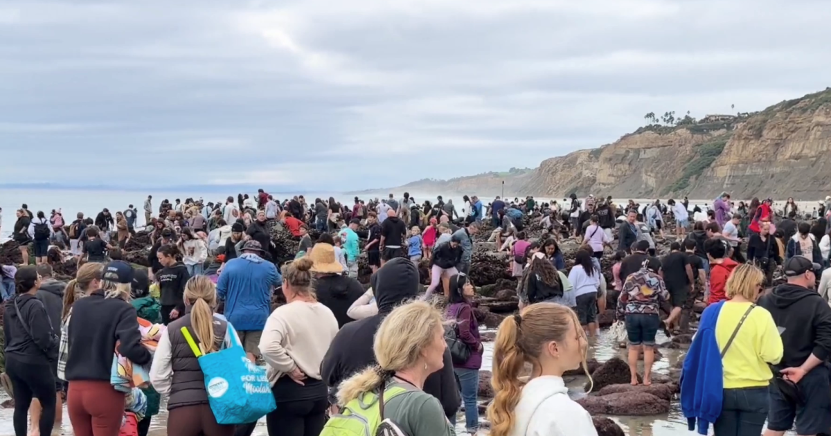 King tides draw large crowds at tidepools over the weekend