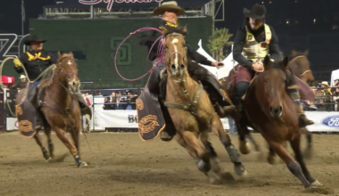 3rd annual San Diego Rodeo to be held this weekend at Petco Park